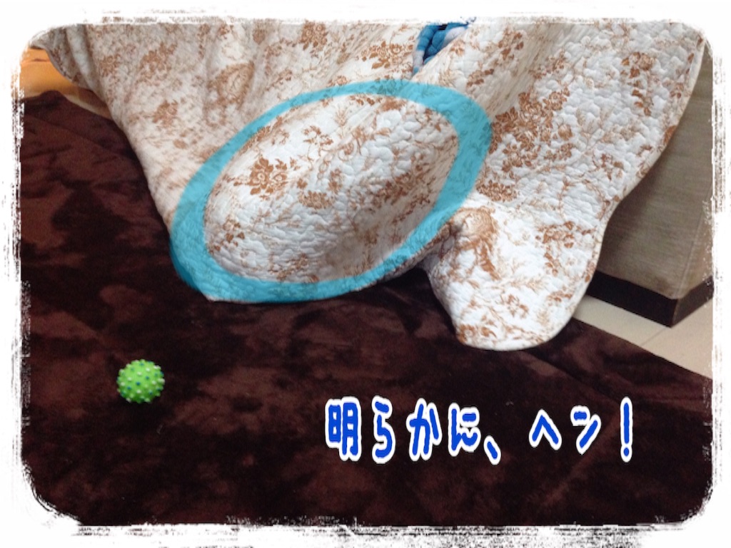 f:id:gino-ig:20151214234224j:image f:id:gino-ig:20151214234224j:image
