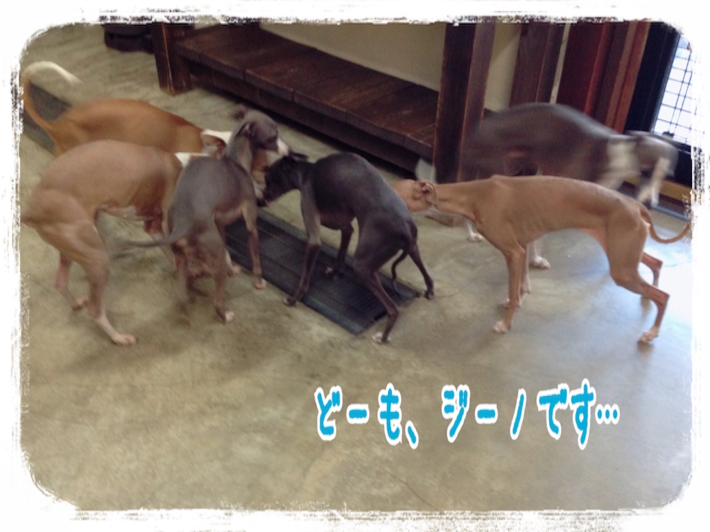 f:id:gino-ig:20151217155225j:image f:id:gino-ig:20151217155225j:image