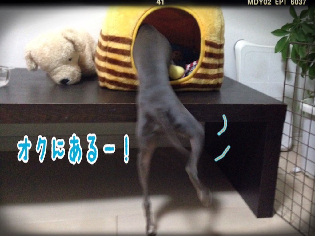 f:id:gino-ig:20151219000243j:image f:id:gino-ig:20151219000243j:image