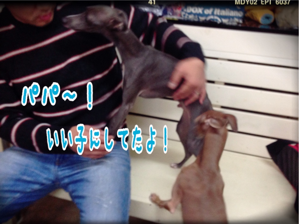 f:id:gino-ig:20151219233706j:image f:id:gino-ig:20151219233706j:image