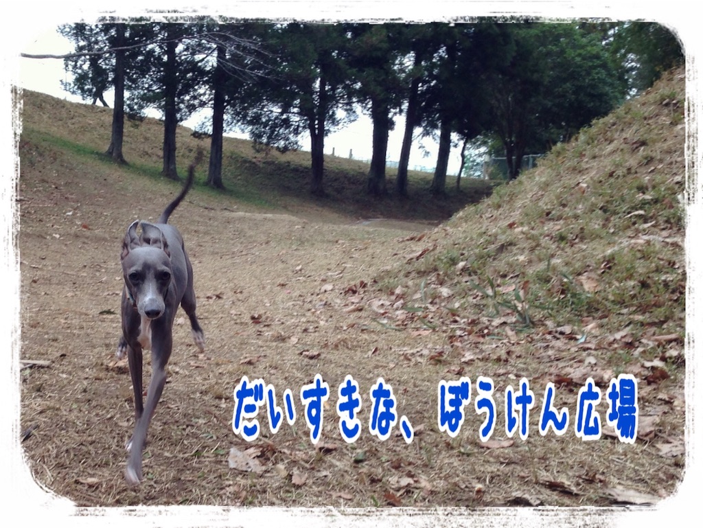 f:id:gino-ig:20151231221848j:image f:id:gino-ig:20151231221848j:image