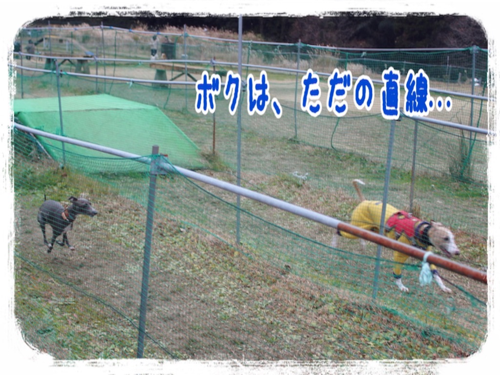 f:id:gino-ig:20151231222028j:image f:id:gino-ig:20151231222028j:image