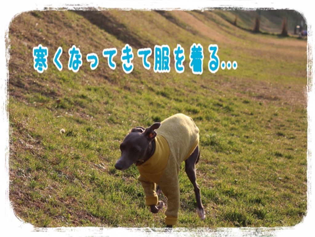 f:id:gino-ig:20151231222100j:image f:id:gino-ig:20151231222100j:image