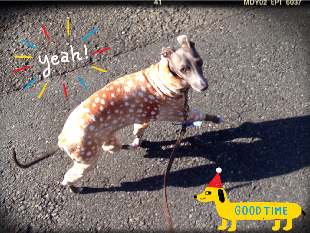 f:id:gino-ig:20160108213108j:image