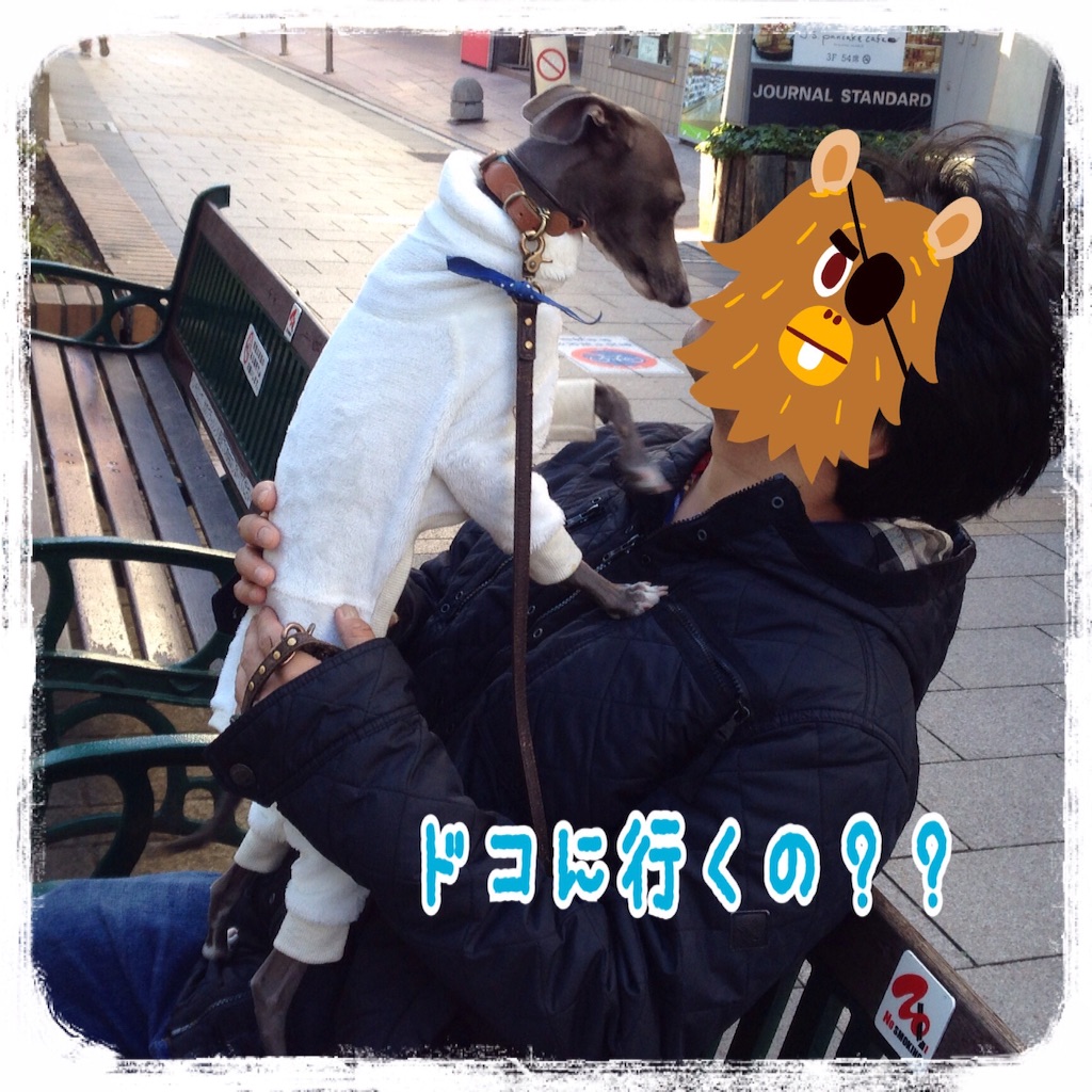 f:id:gino-ig:20160109174917j:image f:id:gino-ig:20160109174917j:image
