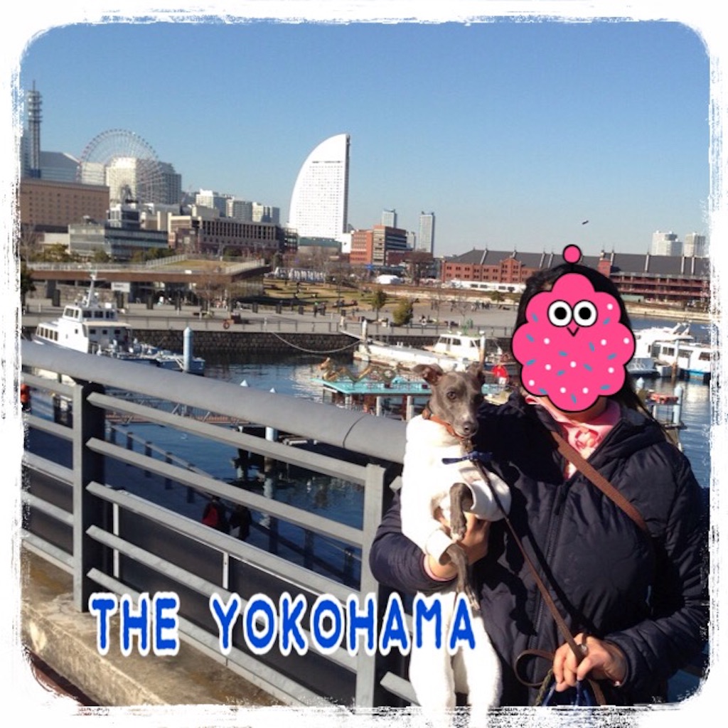 f:id:gino-ig:20160109181609j:image f:id:gino-ig:20160109181609j:image