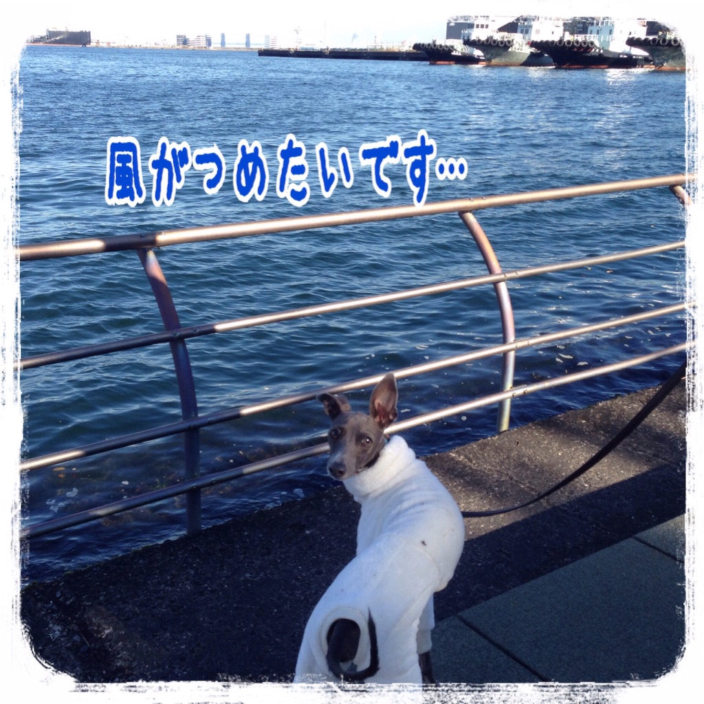 f:id:gino-ig:20160109181639j:image f:id:gino-ig:20160109181639j:image