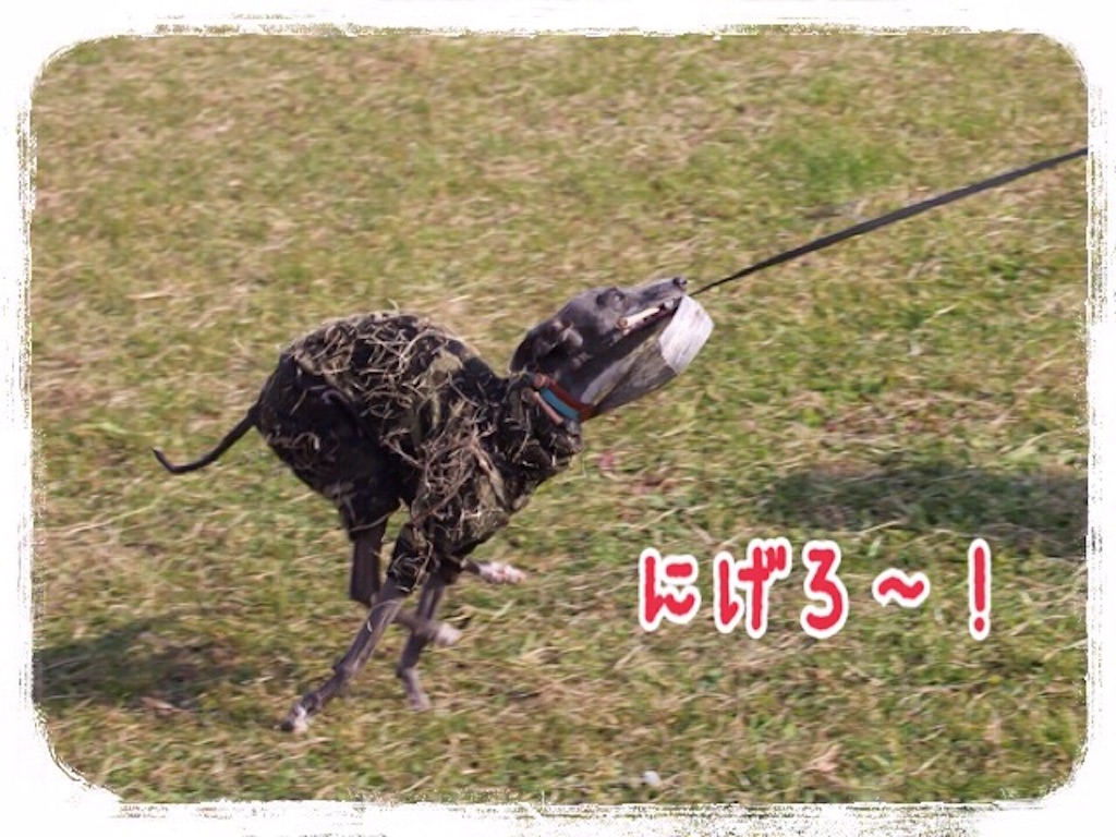 f:id:gino-ig:20160112211534j:image f:id:gino-ig:20160112211534j:image