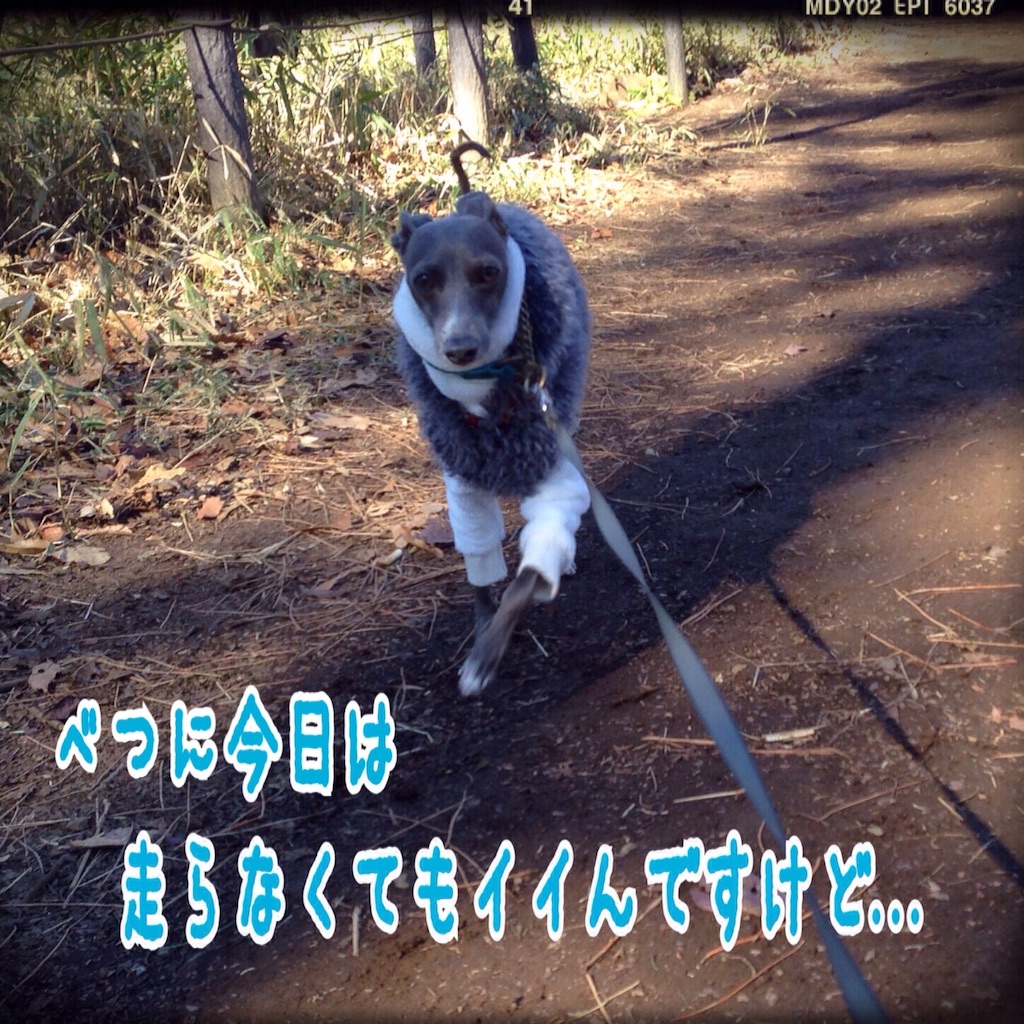 f:id:gino-ig:20160120224246j:image f:id:gino-ig:20160120224246j:image