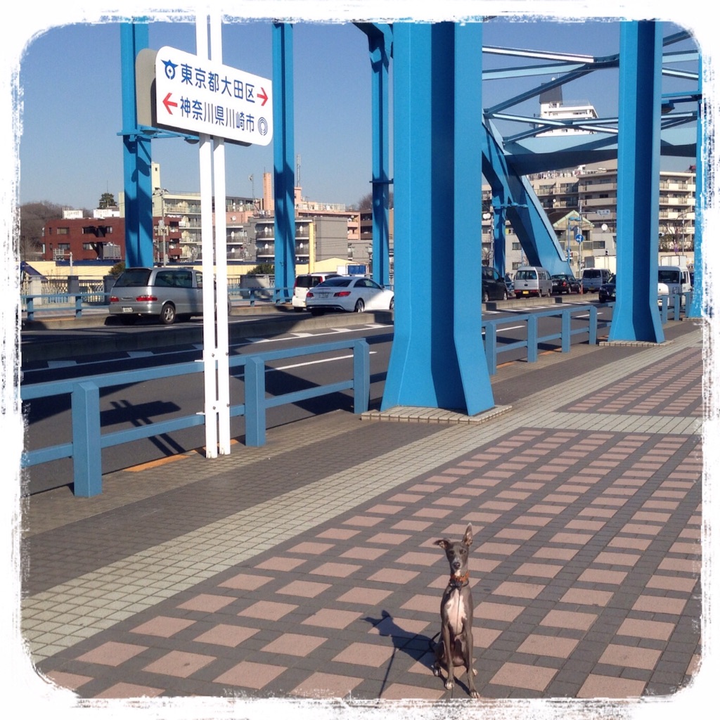 f:id:gino-ig:20160128212142j:image