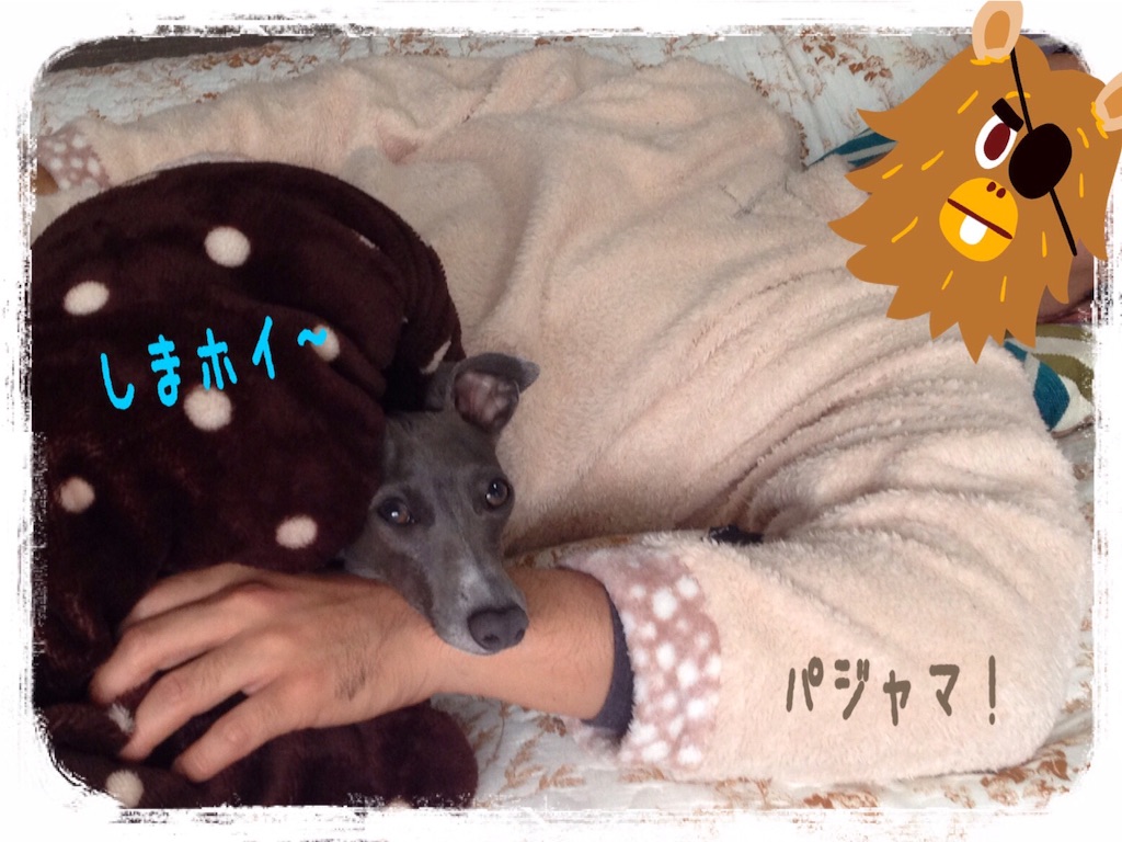 f:id:gino-ig:20160130204748j:image f:id:gino-ig:20160130204748j:image