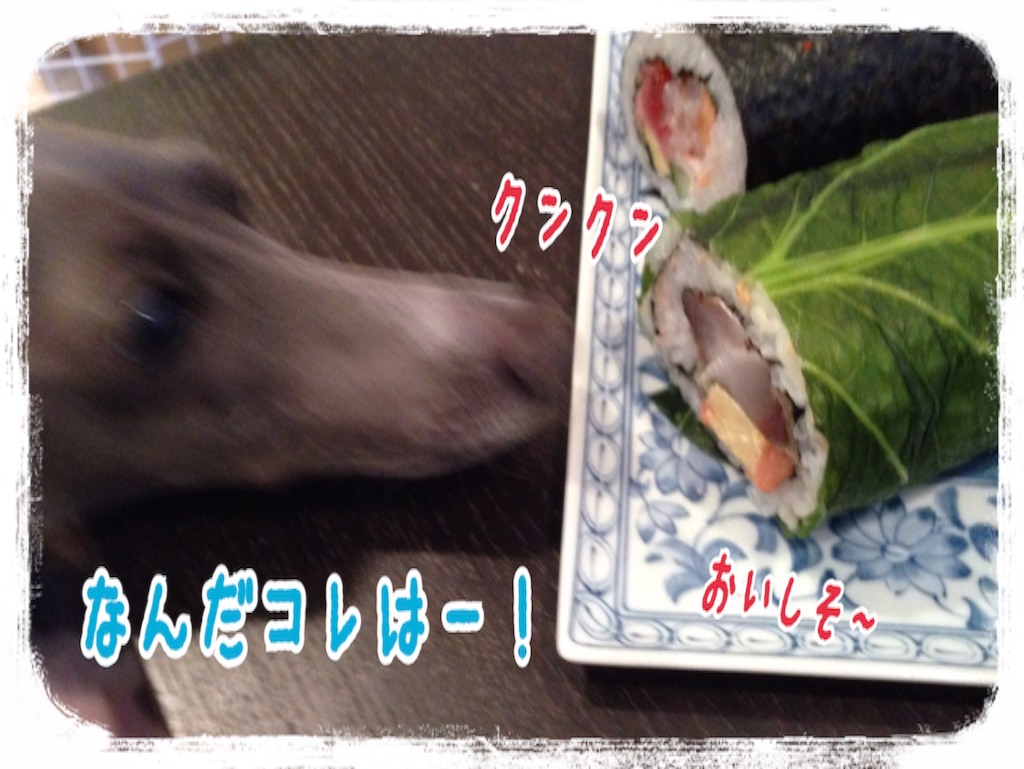 f:id:gino-ig:20160203222008j:image f:id:gino-ig:20160203222008j:image