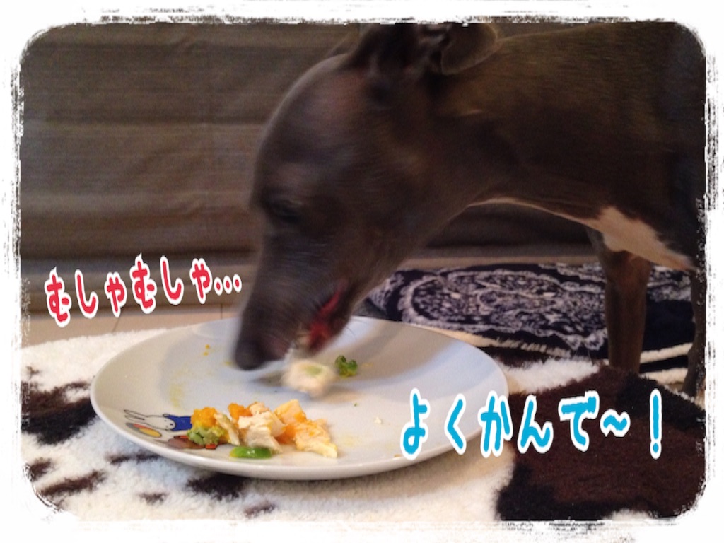f:id:gino-ig:20160203222415j:image f:id:gino-ig:20160203222415j:image