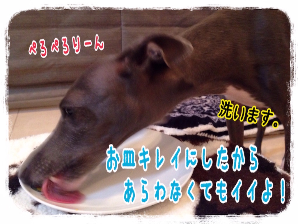 f:id:gino-ig:20160203222807j:image f:id:gino-ig:20160203222807j:image