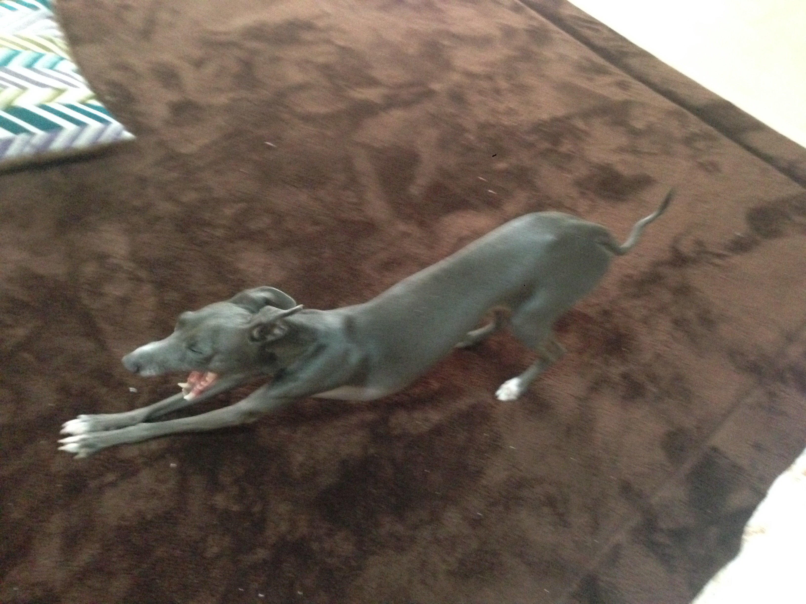 f:id:gino-ig:20160207152609j:image