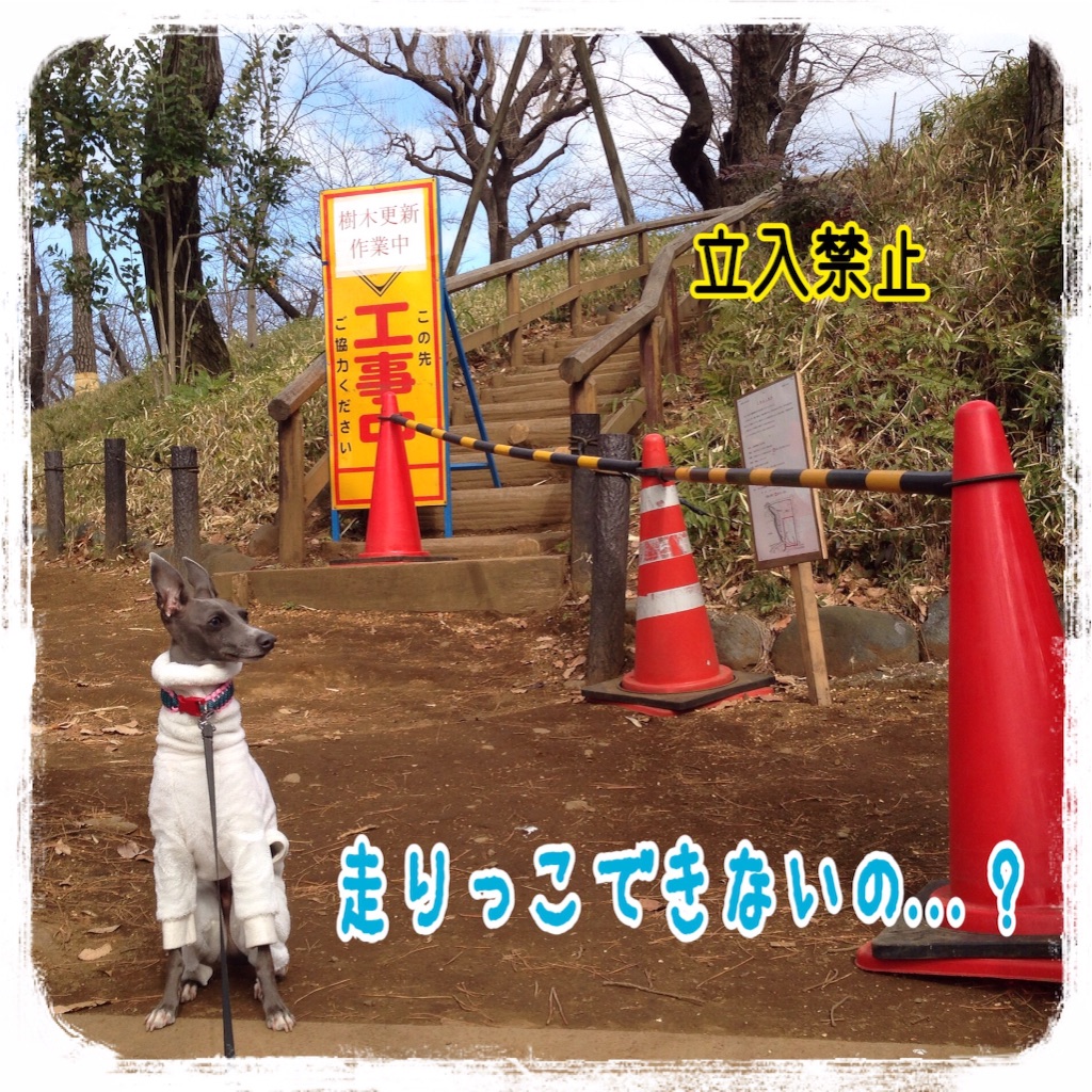 f:id:gino-ig:20160208211448j:image f:id:gino-ig:20160208211448j:image