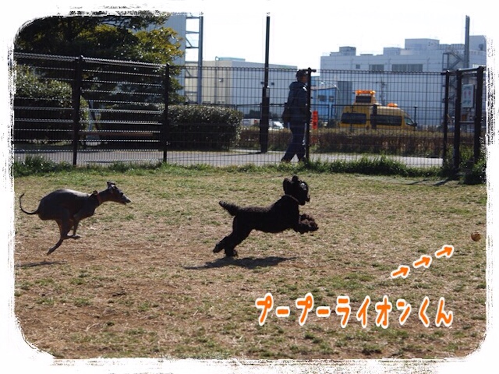 f:id:gino-ig:20160211232336j:image f:id:gino-ig:20160211232336j:image