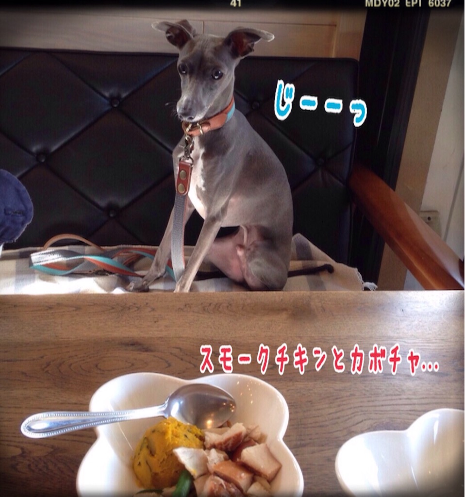 f:id:gino-ig:20160215211511j:image f:id:gino-ig:20160215211511j:image