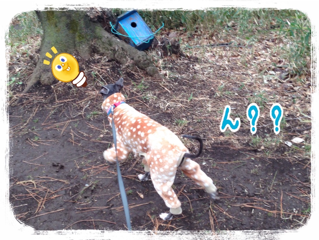 f:id:gino-ig:20160224212817j:image f:id:gino-ig:20160224212817j:image