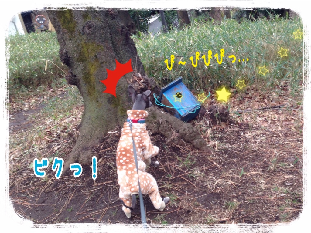 f:id:gino-ig:20160224213200j:image f:id:gino-ig:20160224213200j:image
