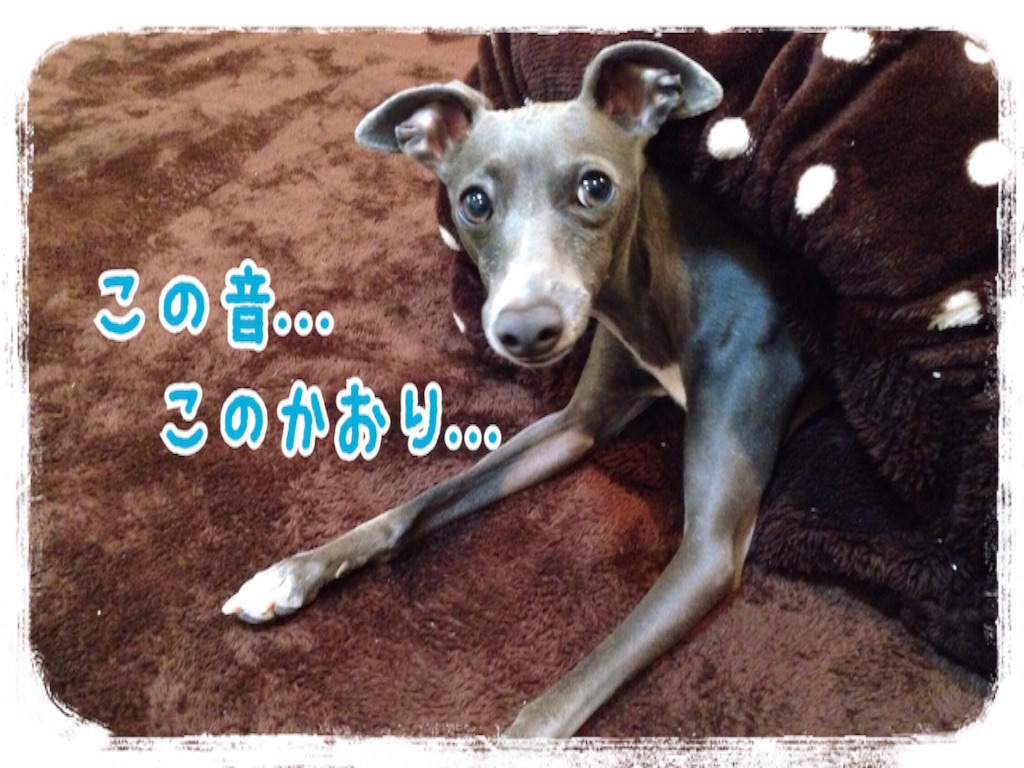 f:id:gino-ig:20160225222545j:image f:id:gino-ig:20160225222545j:image