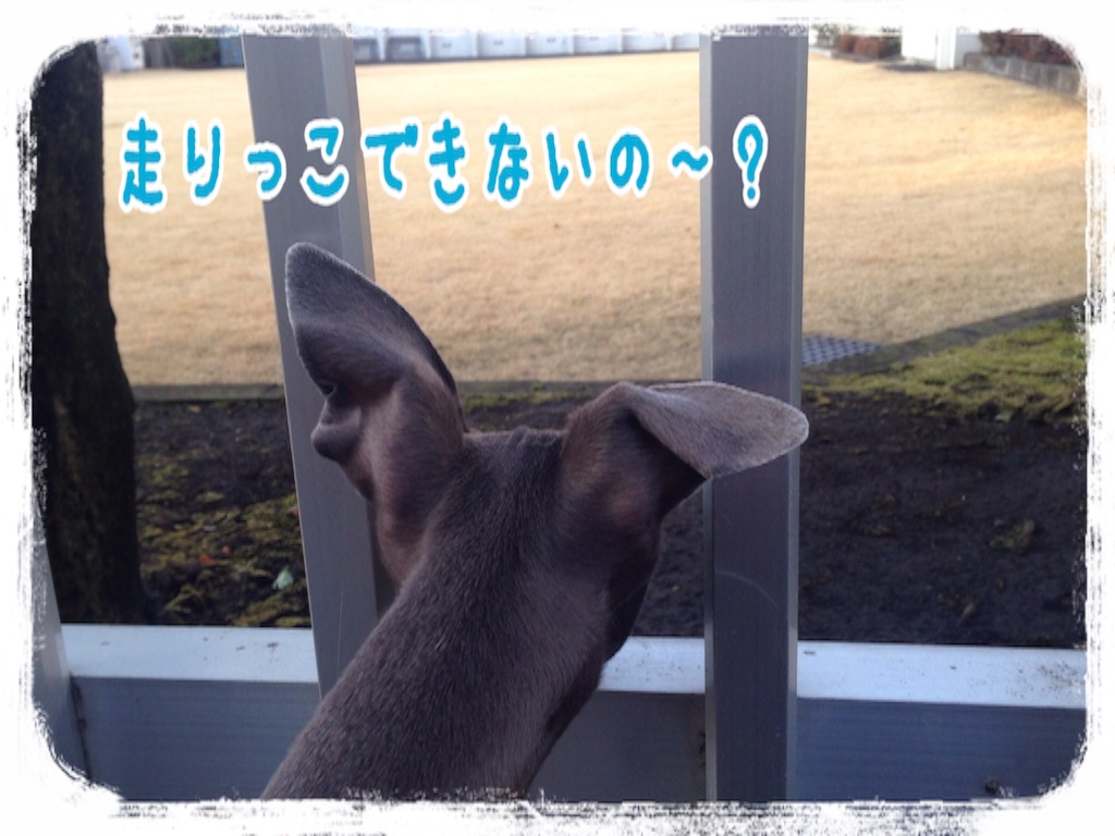 f:id:gino-ig:20160229201846j:image f:id:gino-ig:20160229201846j:image