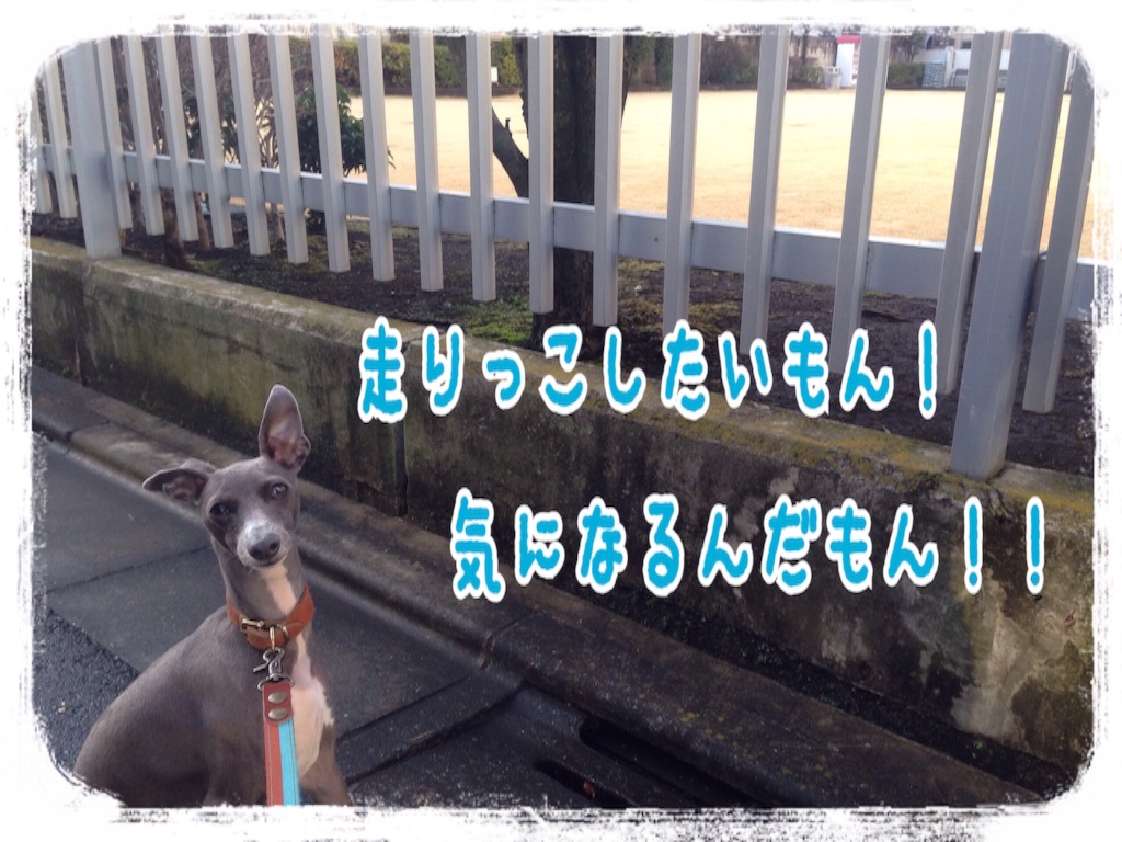f:id:gino-ig:20160229201935j:image f:id:gino-ig:20160229201935j:image