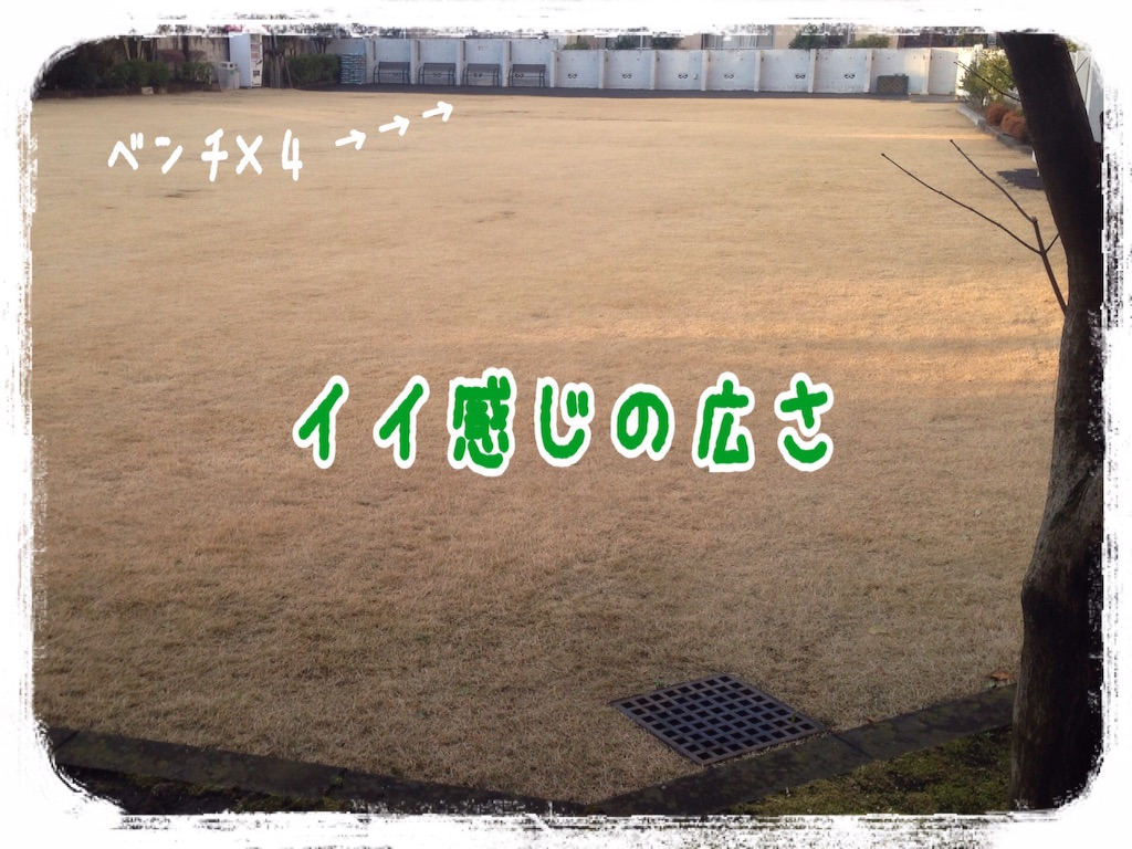 f:id:gino-ig:20160229202120j:image f:id:gino-ig:20160229202120j:image