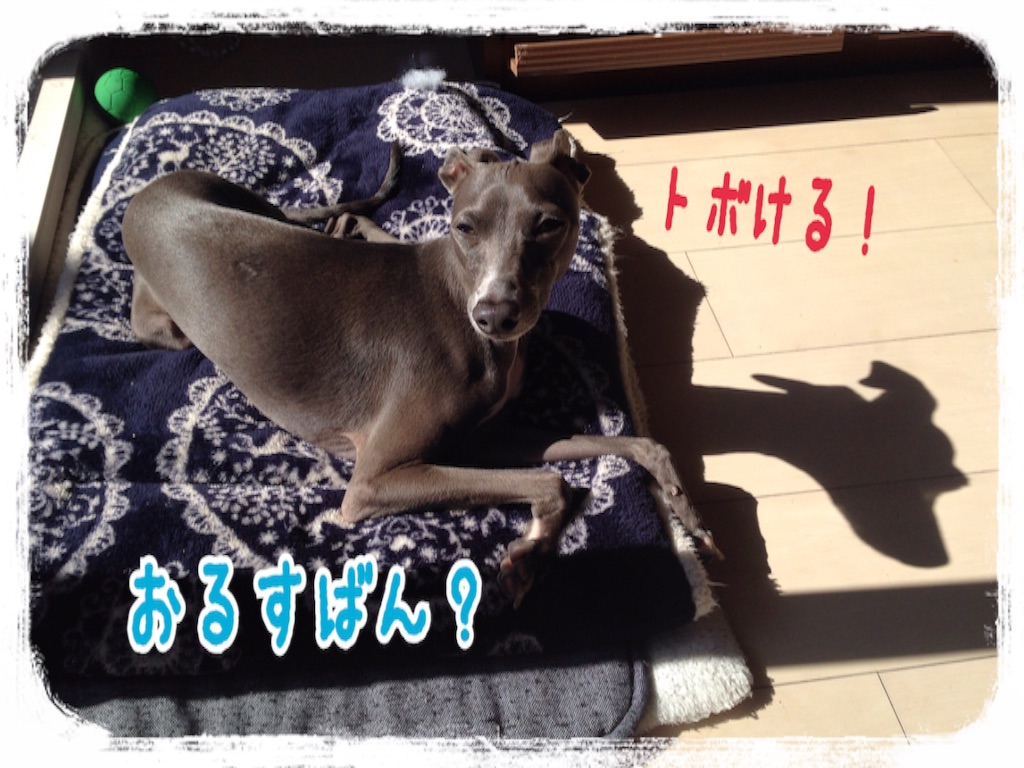 f:id:gino-ig:20160301224153j:image