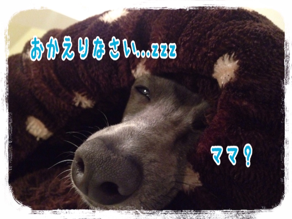 f:id:gino-ig:20160301224907j:image