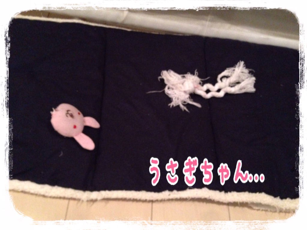 f:id:gino-ig:20160301224957j:image