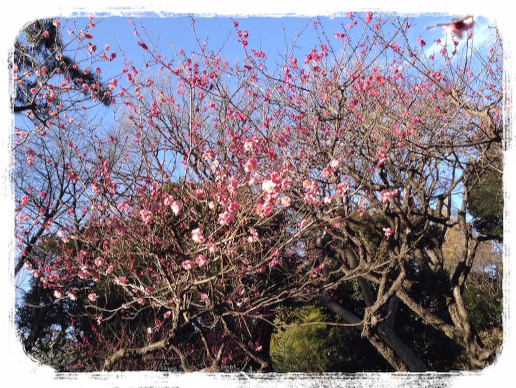f:id:gino-ig:20160302214052j:image f:id:gino-ig:20160302214052j:image