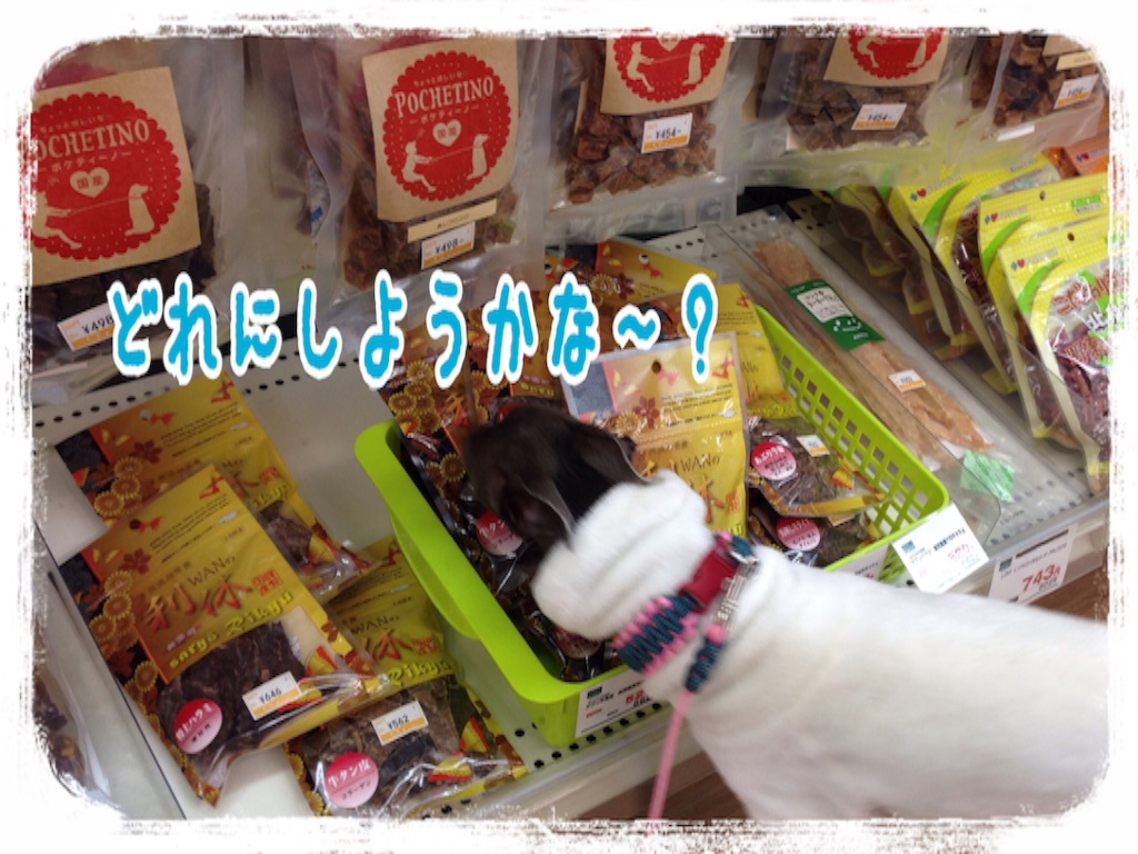 f:id:gino-ig:20160302215458j:image f:id:gino-ig:20160302215458j:image