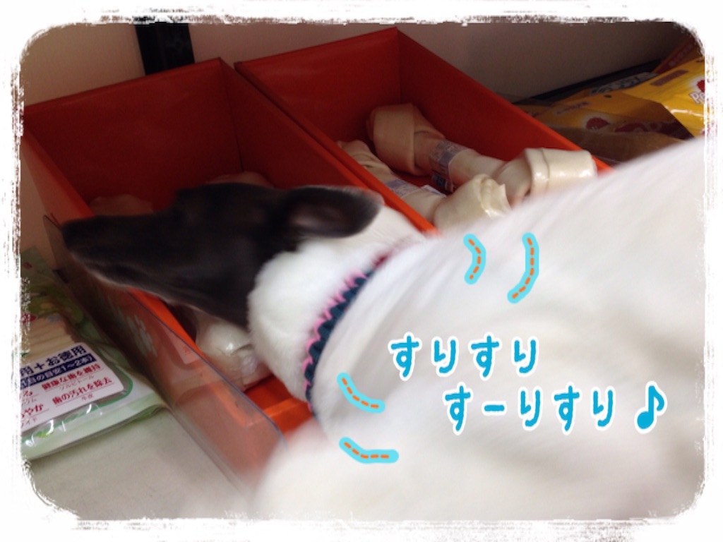f:id:gino-ig:20160302215819j:image f:id:gino-ig:20160302215819j:image