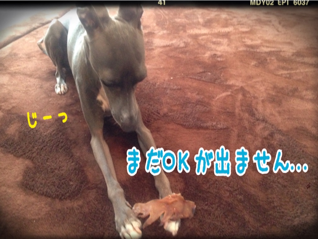f:id:gino-ig:20160303222323j:image f:id:gino-ig:20160303222323j:image