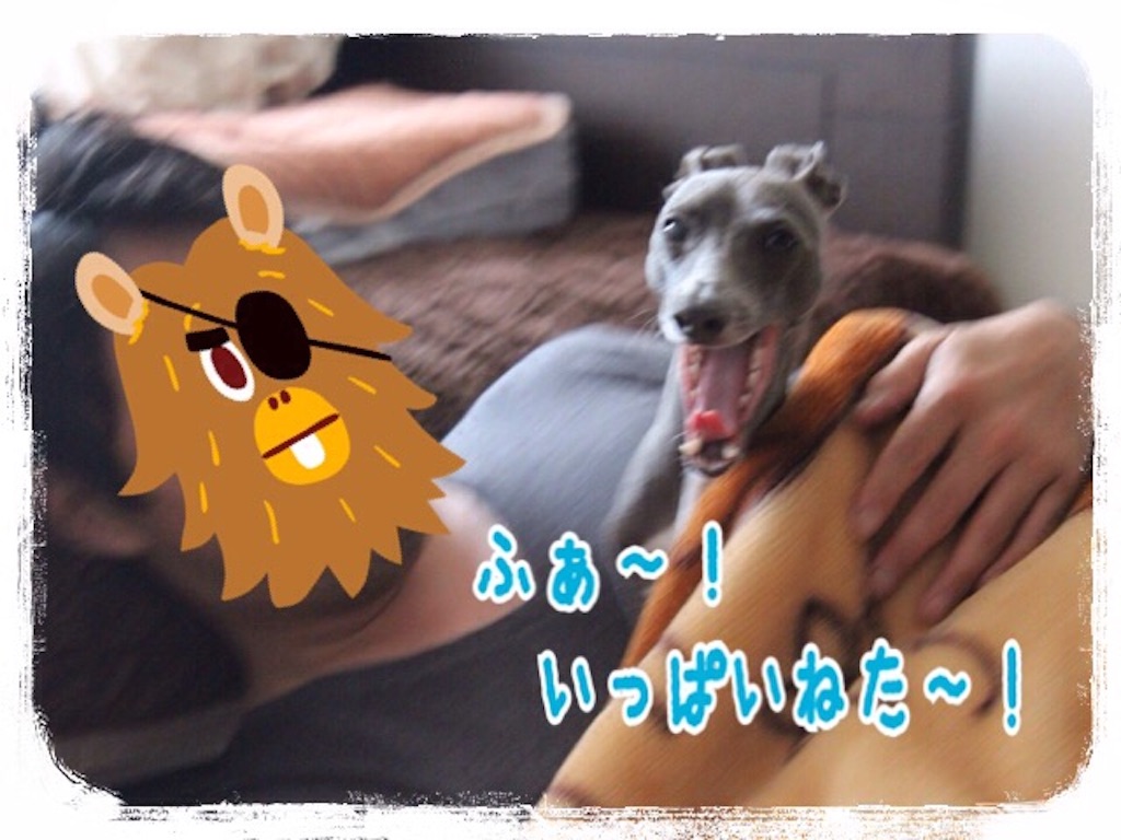 f:id:gino-ig:20160314230418j:image