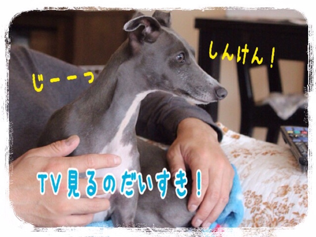 f:id:gino-ig:20160314230602j:image