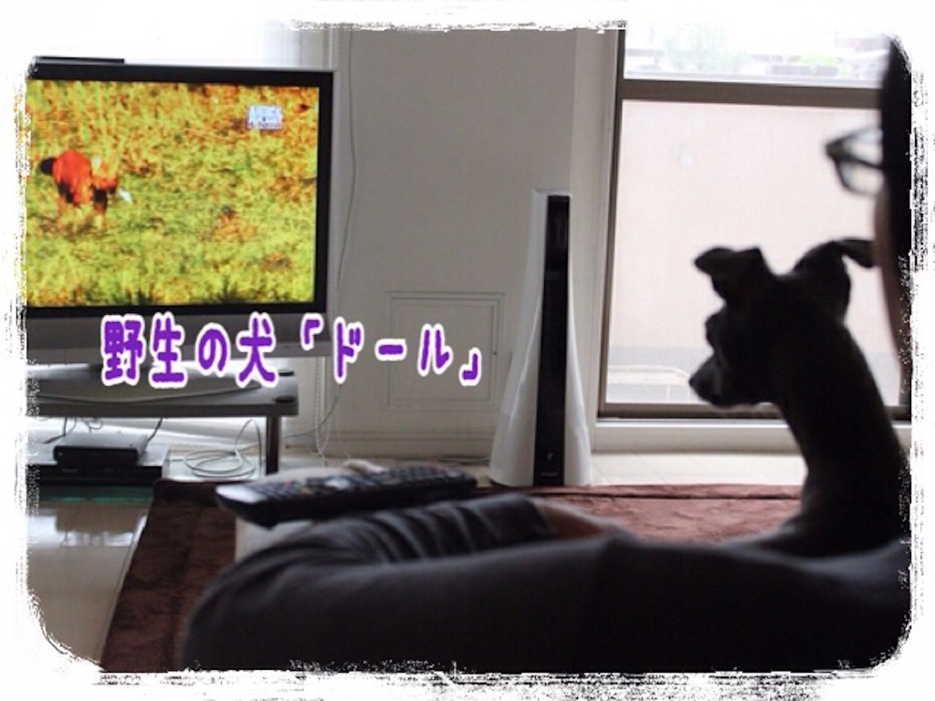 f:id:gino-ig:20160314230632j:image