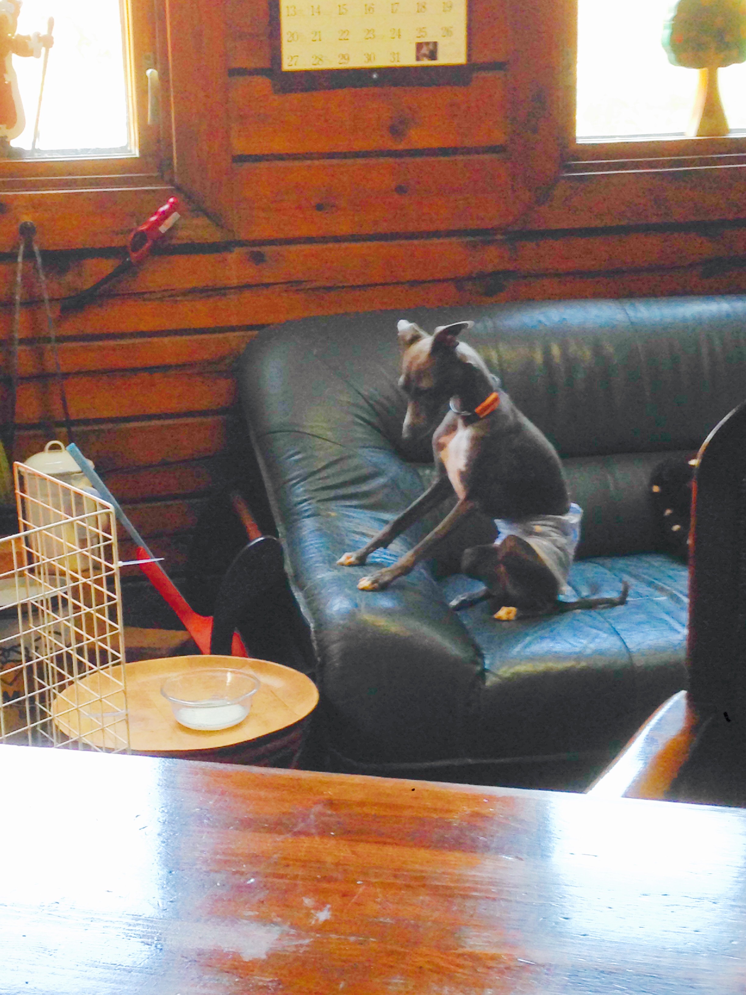 f:id:gino-ig:20160321202854j:image