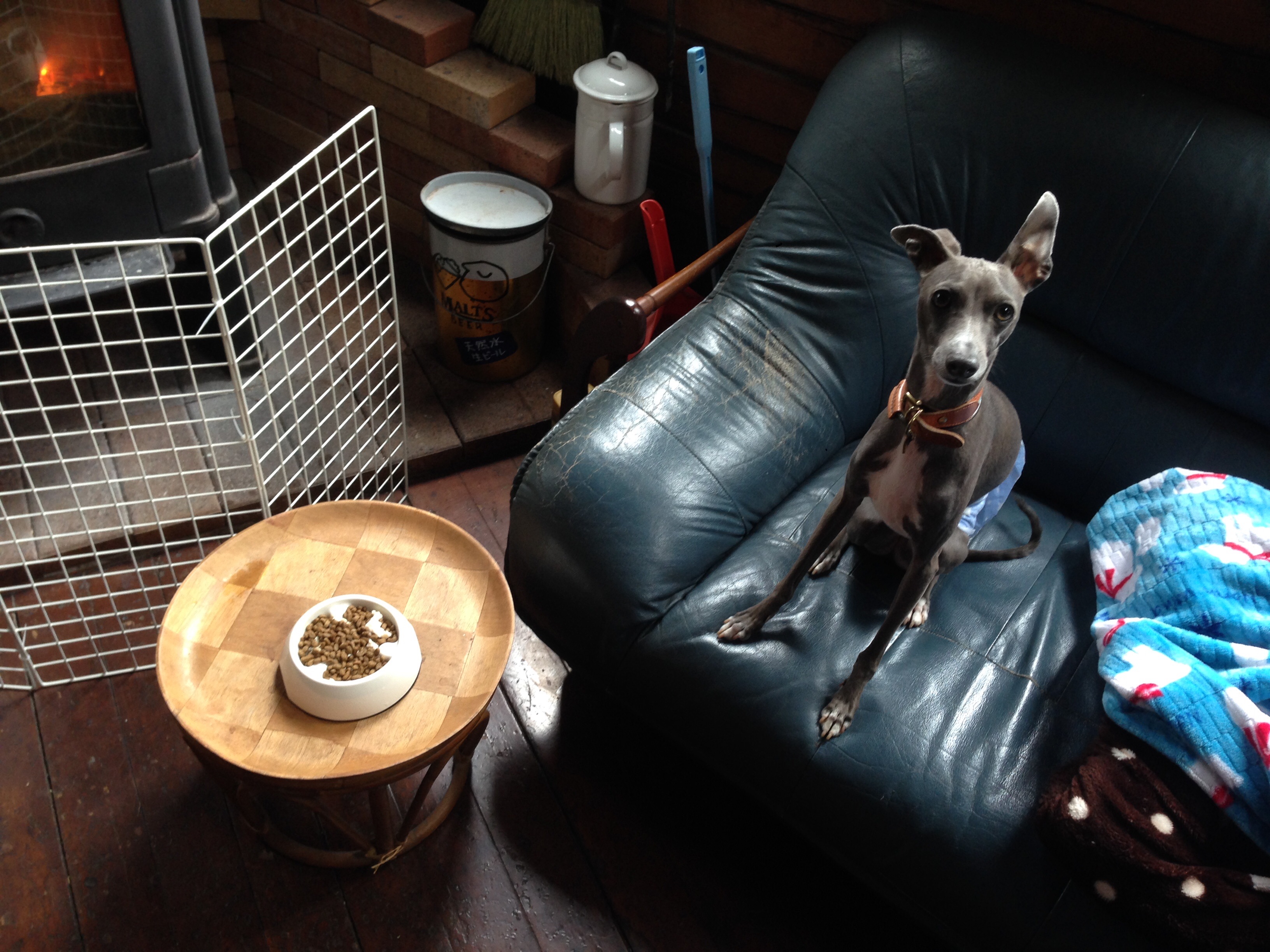 f:id:gino-ig:20160321203319j:image