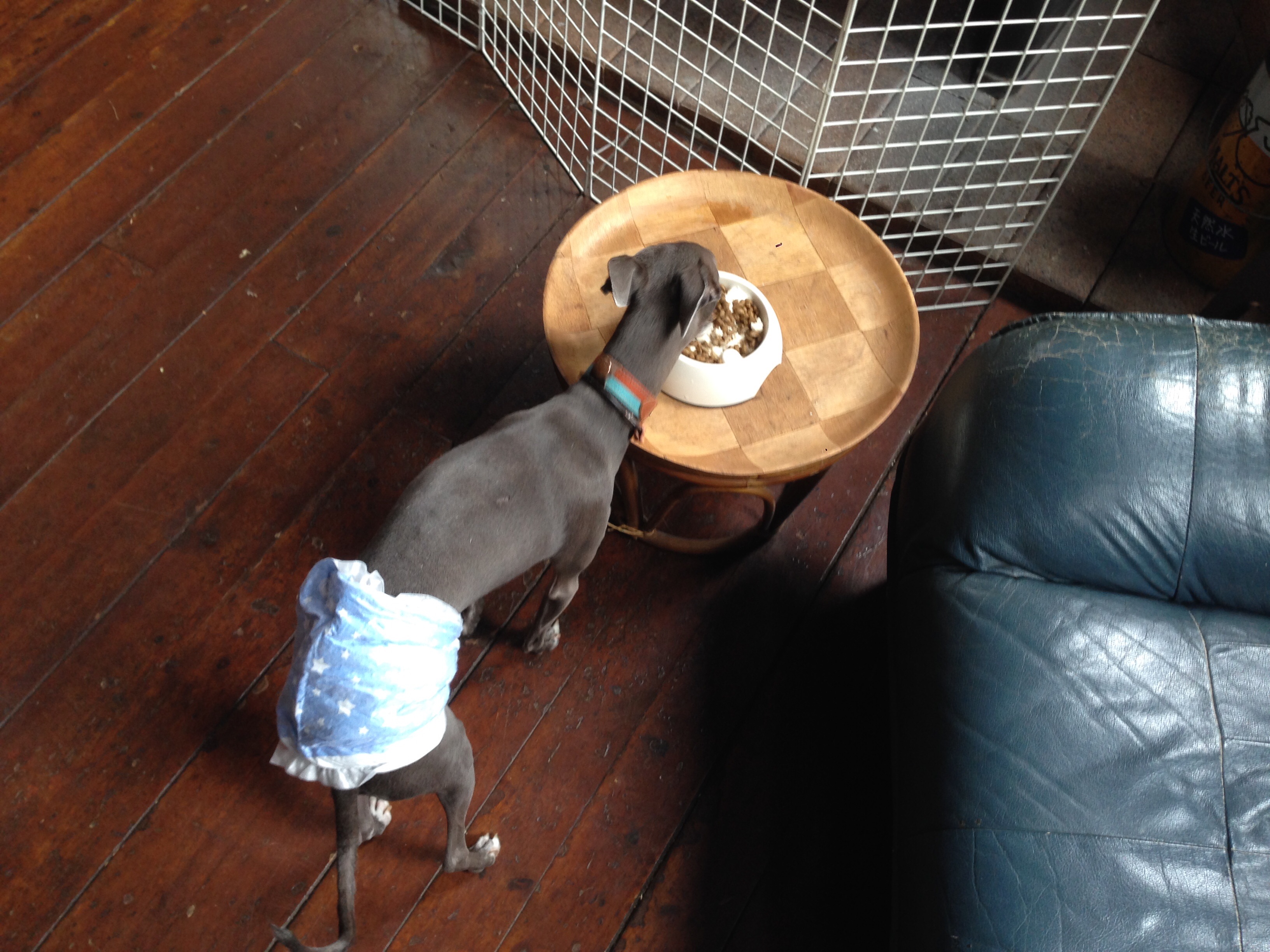 f:id:gino-ig:20160321203429j:image