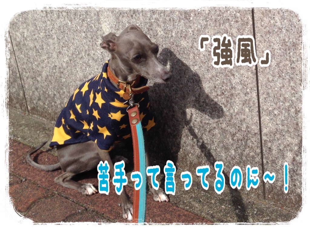 f:id:gino-ig:20160325221501j:image f:id:gino-ig:20160325221501j:image