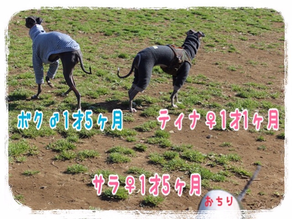 f:id:gino-ig:20160326230336j:image