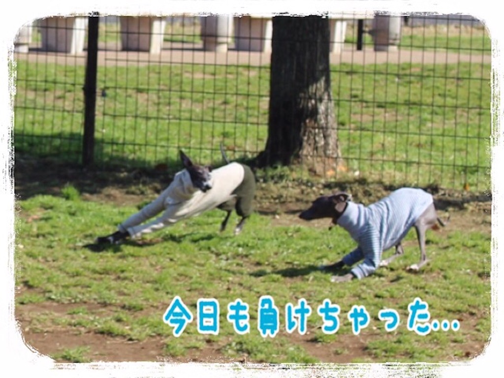 f:id:gino-ig:20160326230446j:image