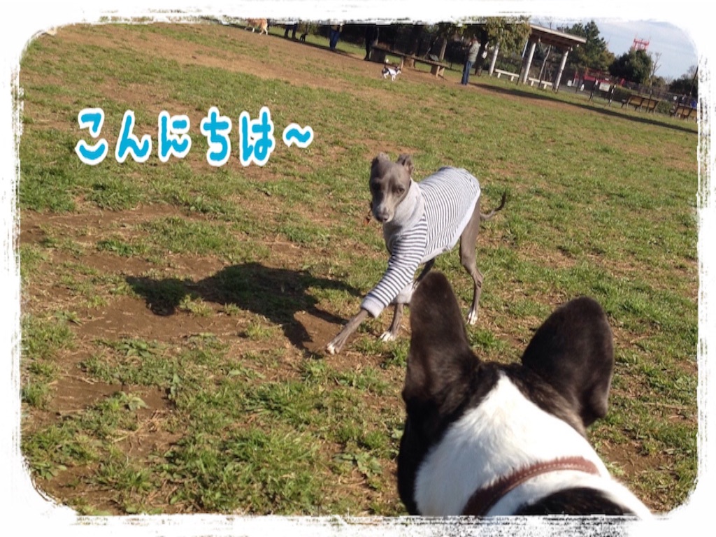 f:id:gino-ig:20160326230600j:image