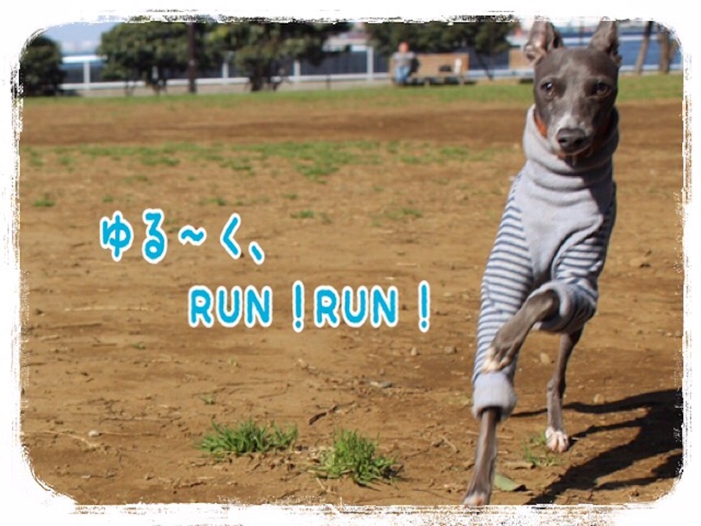 f:id:gino-ig:20160326230856j:image