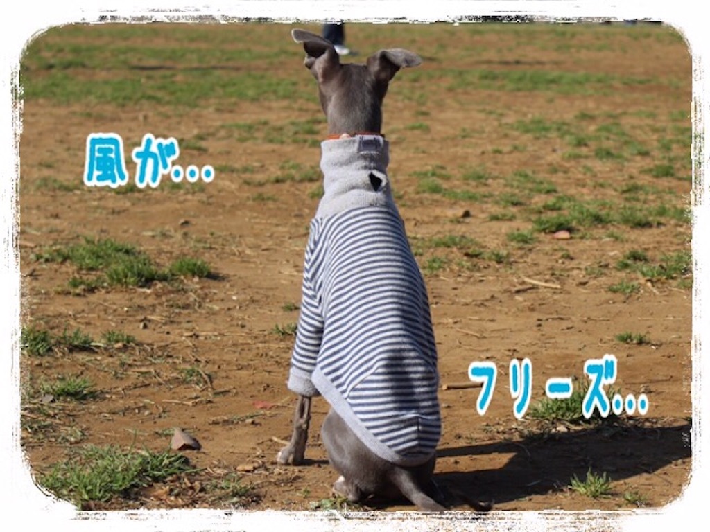 f:id:gino-ig:20160326230944j:image