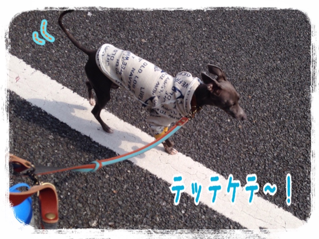 f:id:gino-ig:20160328224433j:image f:id:gino-ig:20160328224433j:image