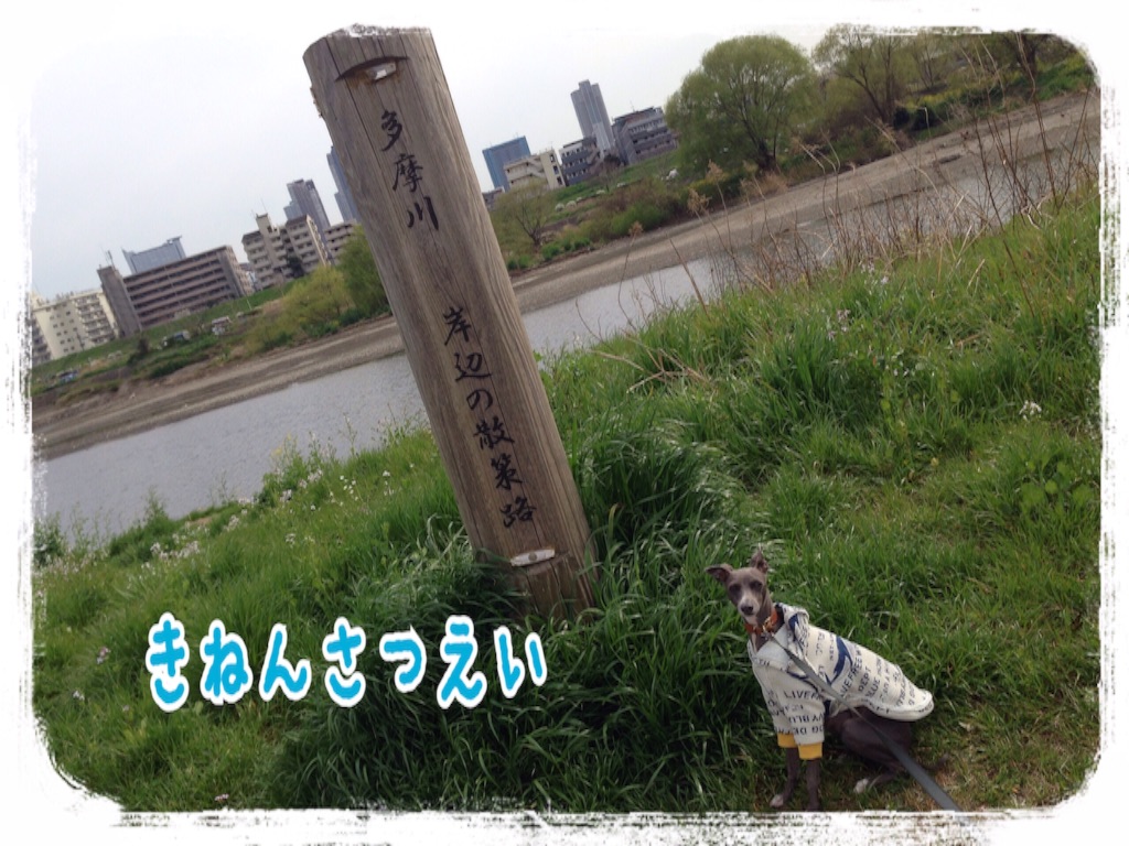 f:id:gino-ig:20160328224632j:image f:id:gino-ig:20160328224632j:image