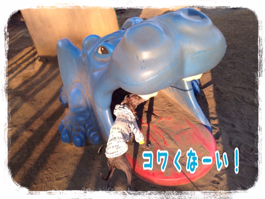 f:id:gino-ig:20160328225133j:image f:id:gino-ig:20160328225133j:image